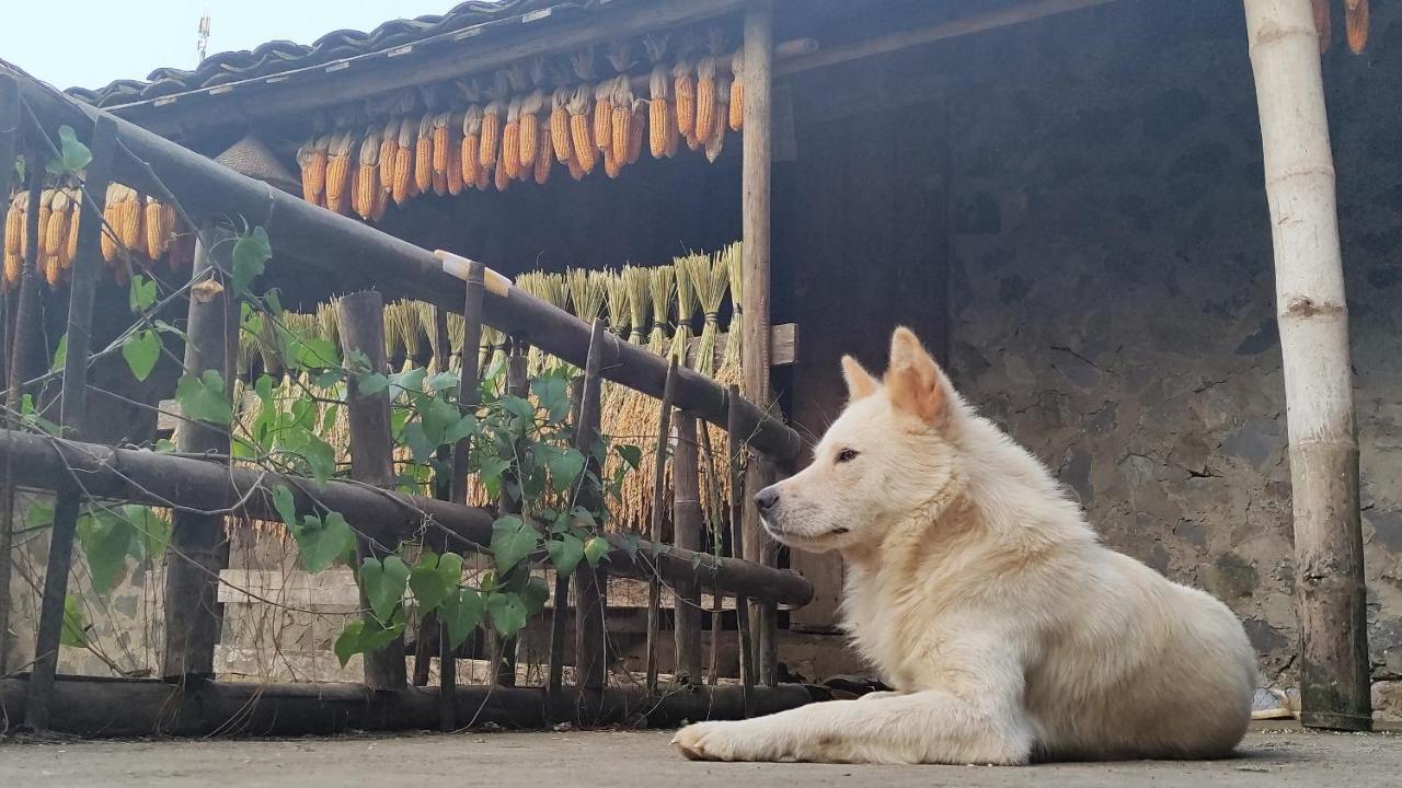 Hoàng Công Bản Giốc Homestay Cao Bang Exterior foto